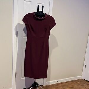 Elegant Wine Midi Dress